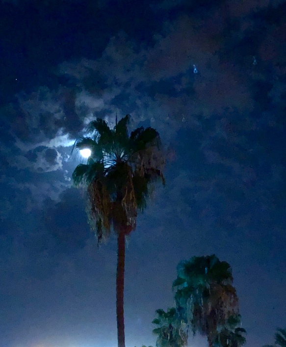 Moon over Marrakech
